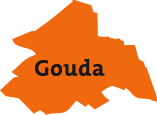 gouda